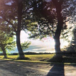 Meet your Posher, Martin